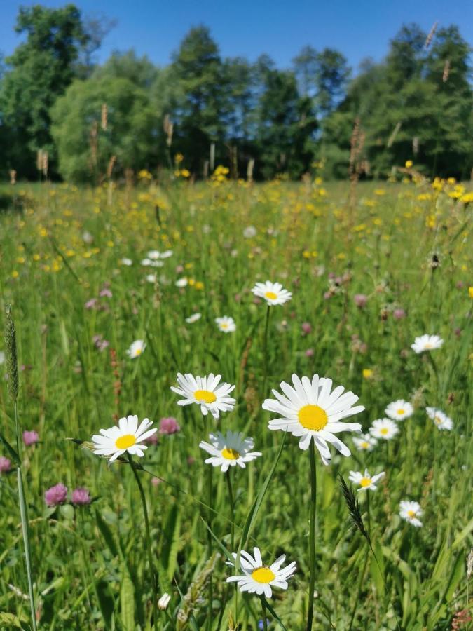 Landhotel Oelmuehle Mombris Exteriör bild